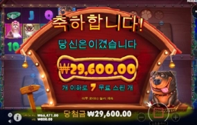 뉴개집 ?멀티도그하우스ㅋㅋㅈ망