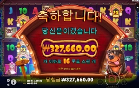 오전 강아지 산책