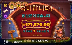 개집 새로나온거