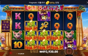 착한 고냥이 270배 고맙고 ㅅㅅ