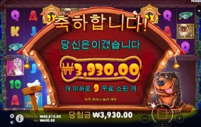 강아지 새로나온거