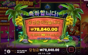 와일드바나나나나나 후기