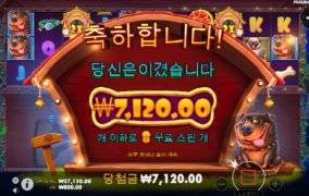 뉴개집 멀티 ~ 맥스윈카지노 후기