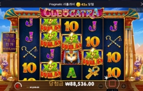 믿었던 고냥이 너마저 ㅠㅠ