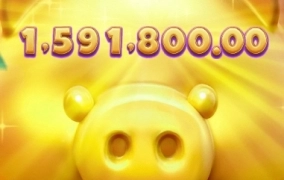 피지에서 대박 터졌습니다 행운피기 800배 피지에서 먹은것중 최고 ㅅㅅ