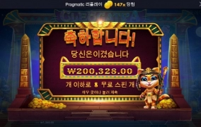 고냥이랑 소소하게 산책