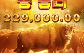 피지 버팔로 달다 달아 ㅎㅎ