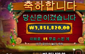 이거 보려고 오기로 참았다!!