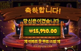 와일드바이슨 사대 드럽게도 안맞네