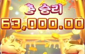 네코 후기보고 타봤는데 연속꽝ㅡㅡ