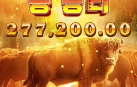 피지버팔로가 프라그마틱 보다 재미남 ㅋㅋㅋ