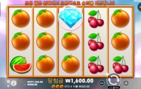 프라그마틱 5충