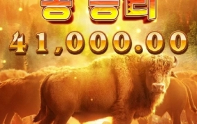 덴장 버팔로 오늘도 안터지네