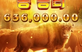 피지도 배당 터질땐 상콤하네요 ㅎㅎㅎ