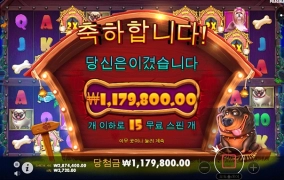 도그하우스 새로운거