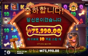 개집 멀티 후기