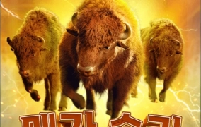 이거저거 싹다 돌림