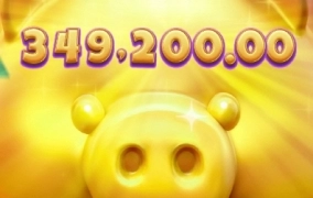 피지 역시 재물은 돼지지 굿샷 ㅅㅅ