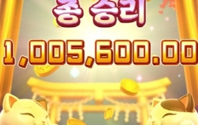 피지 네코 500배 대박 ㅅㅅㅅ
