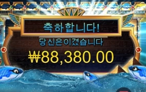 피쉬아이 440배