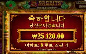 나는 사대가 안맞는건지 오라메 나 오래빗이나 배당 너무 안터짐