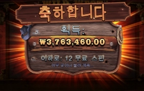 와일드 웨스트 370장샷