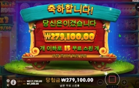 프라그마틱 토끼