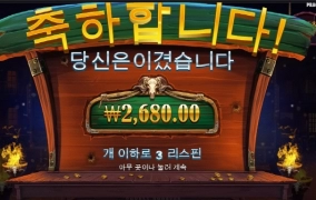 카우보이코인 미쳣다 진짜