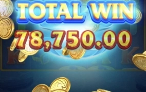 후기보고 돌려본 펄다이버