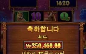 프라그마틱 버팔로킹 놀다감