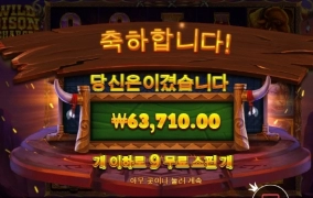 와일드바이슨 뭐 엄청나게 줄것 같더니 별거 없네 ㅋㅋㅋ