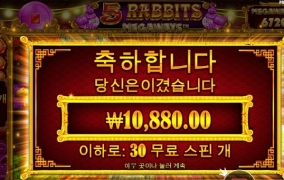 오 래빗은 사대가 너무 안맞는다 ㅜㅜ