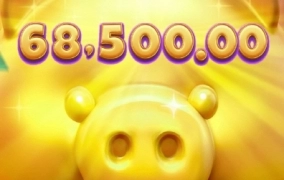 오늘은 피지도 안주고 ㅠㅠ 재미가 없어요