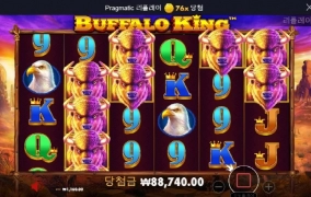 오늘은 버팔로 킹으로 ㅎㅎ