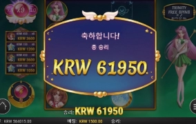 올만에 플렌고 문배기 봅니다