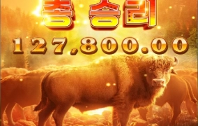 피지 버팔로 후기