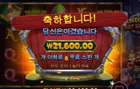 신규게임 배당이 왜이럼 ?