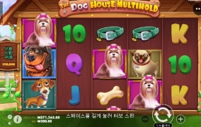 도그하우스 홀드스핀 처음으로 돌려봅니다 ㅎㅎ