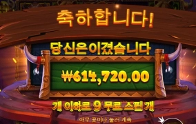 레이브에서 바이슨