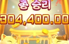 일요일은 네코와 함께 출발