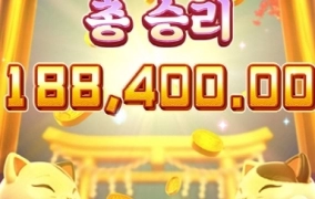 고양이는 사랑이라고 배웟습니다