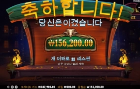 카우보이코인 후기~~~!!!