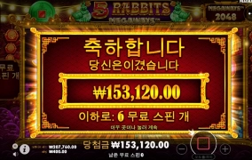 사자하려다가 토끼 했는데...