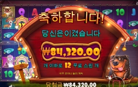 멀티개집  진짜 너무 안주넹 ㅠㅠ