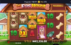 나쁜개는 없다고 배웠는데