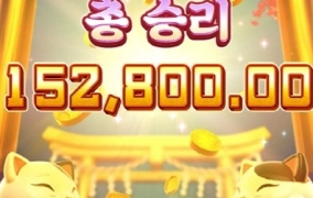 안될때는 피지가 속편하네