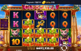 역시 고냥이가 효자