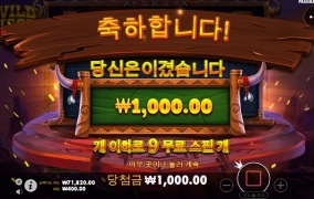 1,000배를 노렸지만...