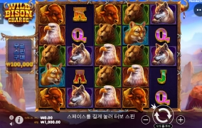 갬블러플레이+와일드비손차지