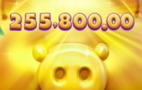 꾸역꾸역 올라가긴합니다